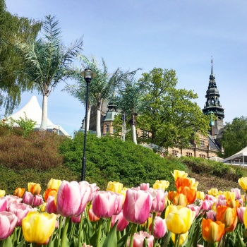 ThrowBackThursday #8- Nordiska Museet and tulips